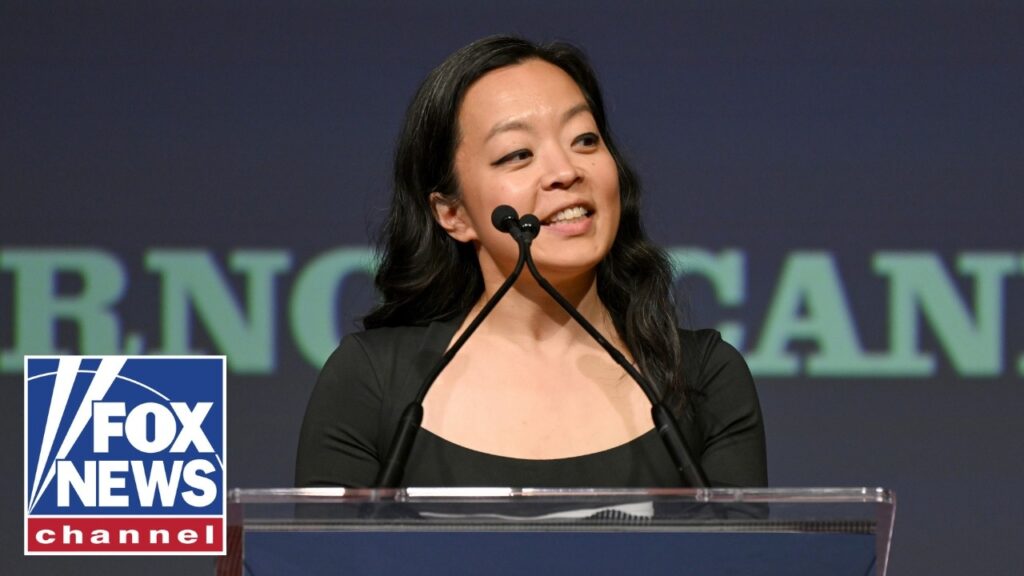 ‘CRAZY IDEAS’: Socialist Francesca Hong BLASTED over far-left agenda