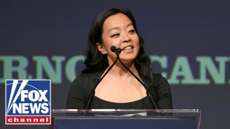 ‘CRAZY IDEAS’: Socialist Francesca Hong BLASTED over far-left agenda ‘CRAZY IDEAS’: Socialist Francesca Hong BLASTED over far-left agenda