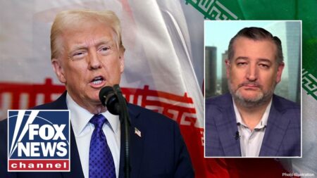 ‘REGIME COLLAPSE’: Ted Cruz urges US to arm Iranians to fight their government