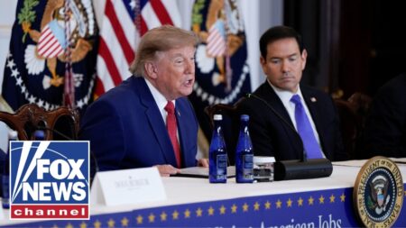 Trump participates in an American Mining Industry Roundtable