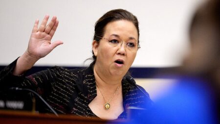 Hawaii rep cruises to Dem primary win after challenger arrested for beach brawl