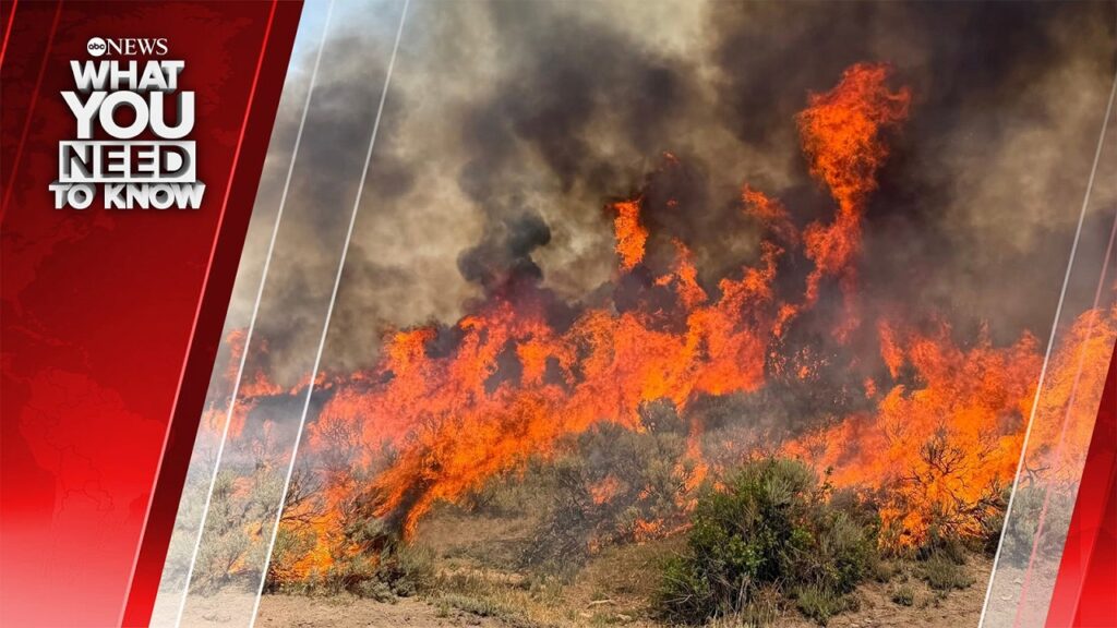 Nearly 100 Large Fires Nationwide. What You Need To Know – August 10