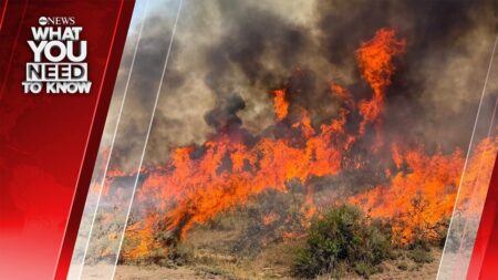 Nearly 100 Large Fires Nationwide. What You Need To Know – August 10 Nearly 100 Large Fires Nationwide. What You Need To Know – August 10