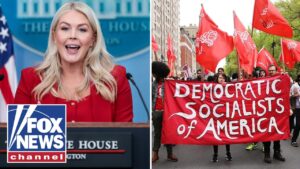 Karoline Leavitt: DSA should be called ‘DESTRUCTIVE SOCIALISTS OF AMERICA’ Karoline Leavitt: DSA should be called ‘DESTRUCTIVE SOCIALISTS OF AMERICA’
