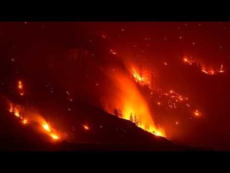 Over 20,000 flee wildfires as British Columbia declares state of emergency
