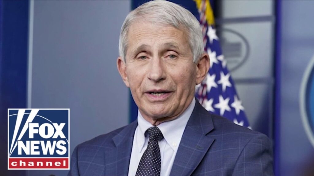 Here’s why Fauci should get IMMUNITY: Paul Mauro