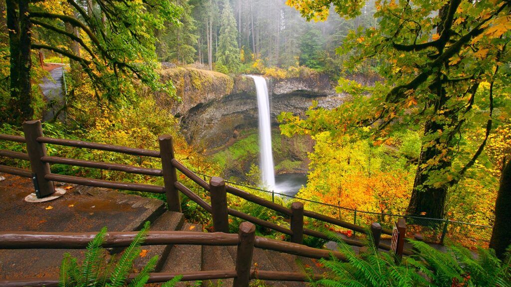 Man, 20, dies in ‘horrific accident’ after slipping from towering Oregon waterfall Man, 20, dies in ‘horrific accident’ after slipping from towering Oregon waterfall