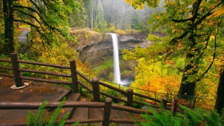Man, 20, dies in ‘horrific accident’ after slipping from towering Oregon waterfall
