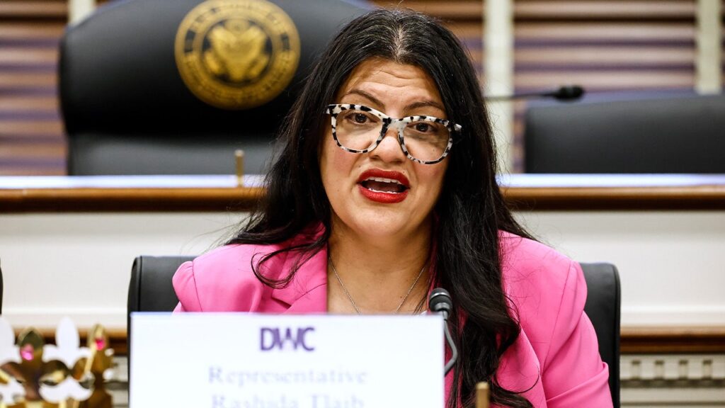 Tlaib under fire for working to unseat two Jewish House Democrats in Florida: ‘No coincidence’ Tlaib under fire for working to unseat two Jewish House Democrats in Florida: ‘No coincidence’