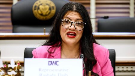 Tlaib under fire for working to unseat two Jewish House Democrats in Florida: ‘No coincidence’