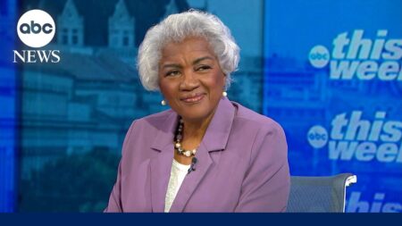 Brazile on divide in Democratic Party: ‘The party needs two wings to fly’