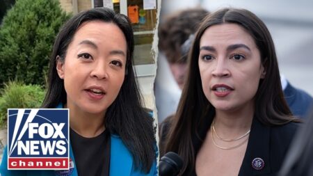 ‘WOKE 1 WAS CRAZY’: AOC distances herself from Francesca Hong