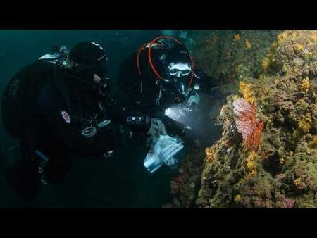 Italian coral smugglers arrested on Greek island