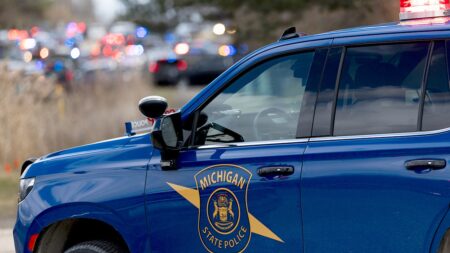 Several people dead including suspect in rural Michigan multi-scene shooting, police say: reports