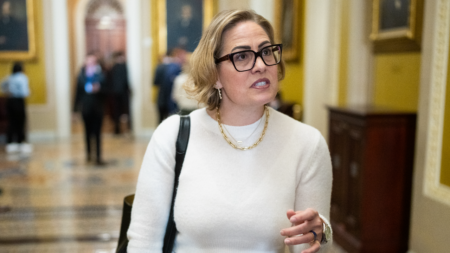 Court filings reveal Kyrsten Sinema had sex multiple times with married bodyguard while serving as senator