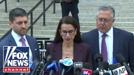 Mangione’s defense strategy is ‘LIKELY TO SUCCEED’: Criminal defense attorney Mangione’s defense strategy is ‘LIKELY TO SUCCEED’: Criminal defense attorney