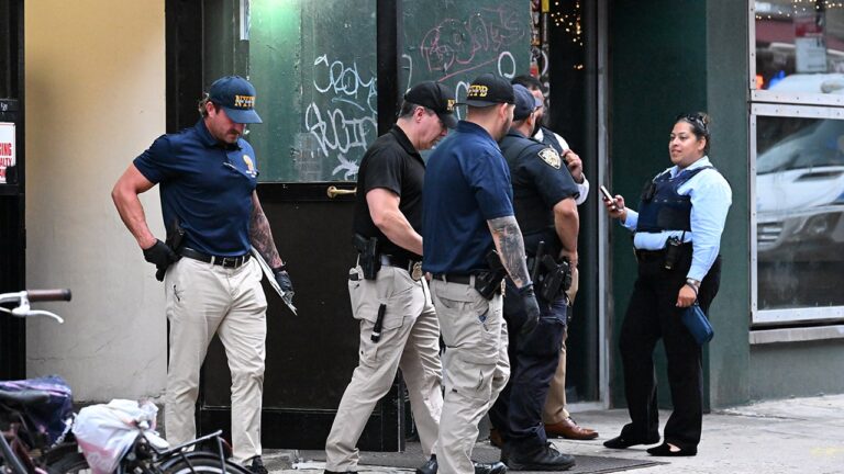 NYPD officers fatally shoot man armed with butcher knife after he advanced toward cops: police