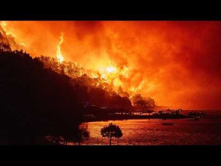 Wildfires continue to devastate Europe as thousands are forced to flee their homes Wildfires continue to devastate Europe as thousands are forced to flee their homes