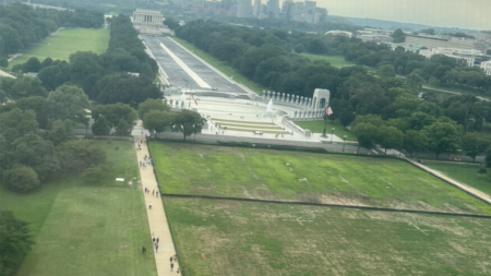 Trump blames vandals for dead grass on National Mall where he hosted 4th of July celebration
