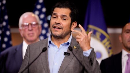House Democrat investigated over alleged ‘inappropriate sexual contact’ with staffer