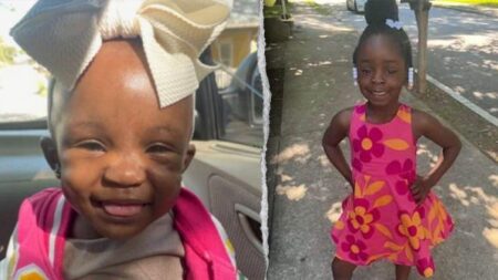 Babysitter accused of kidnapping two young sisters was previously charged with abducting newborn