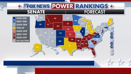 Fox News Power Rankings: As Democrats turn left, Black voters tap the brakes