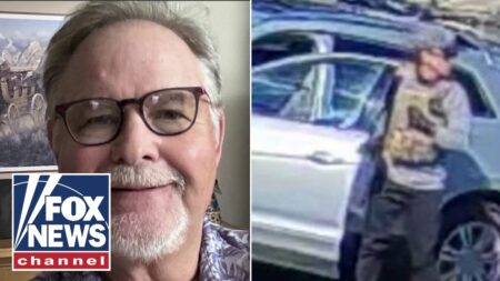 Illegal migrant released DAYS before alleged murder: ‘This was preventable’ Illegal migrant released DAYS before alleged murder: ‘This was preventable’