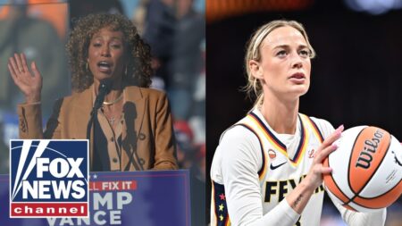 Sage Steele: I’m shocked Democrats want to argue this Sage Steele: I’m shocked Democrats want to argue this