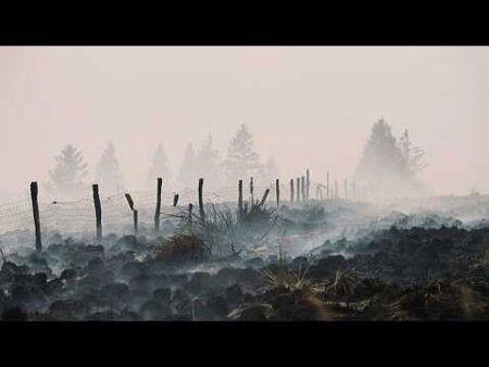Belgium wildfire ‘encircled’ overnight but situation still ‘complicated,’ officials say