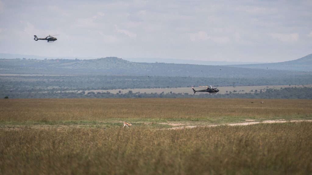 5 Americans killed in helicopter crash in Kenya, including Telemundo executive
