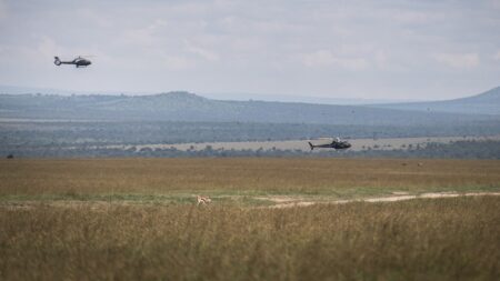 5 Americans killed in helicopter crash in Kenya, including Telemundo executive