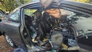 Colorado black bear dies after becoming trapped inside unlocked car for days: report Colorado black bear dies after becoming trapped inside unlocked car for days: report