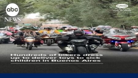Hundreds of bikers dress up to deliver toys to sick children in Buenos Aires Hundreds of bikers dress up to deliver toys to sick children in Buenos Aires