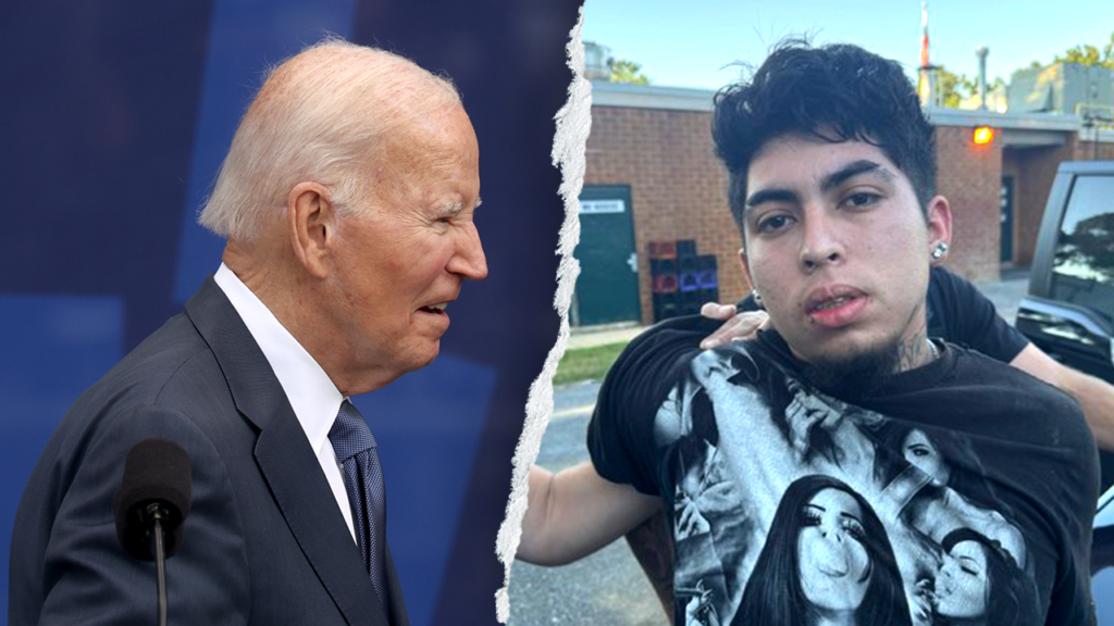 Biden admin released illegal immigrant accused of fatally stabbing Fairfax County mother Biden admin released illegal immigrant accused of fatally stabbing Fairfax County mother