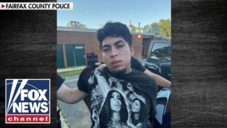 Sanctuary laws UNDER FIRE after illegal immigrant CHARGED in Virginia mother’s murder