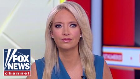 McEnany left STUNNED: This is like a ‘soap opera’