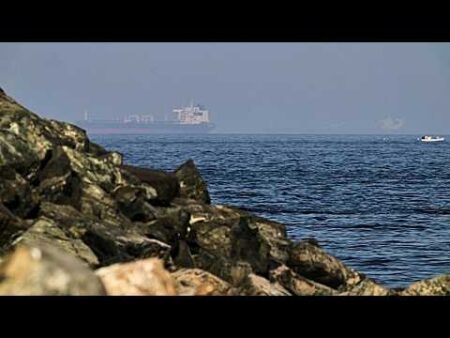 UAE halts all trade and financial dealings with Iran UAE halts all trade and financial dealings with Iran