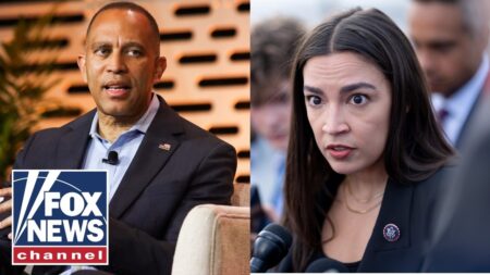 DETAILS: Prostitutes FLOOD Hakeem Jeffries, AOC districts