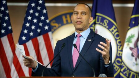 Socialism surges among Democrats as party leaders reject DSA agenda: ‘Pack of fools’