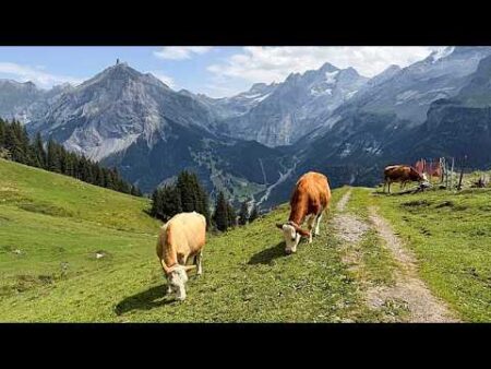 Swiss village lives in the shadow of an unstable mountain Swiss village lives in the shadow of an unstable mountain