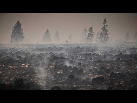 Fire of the century in eastern Belgium brought ‘under control,’ local official says