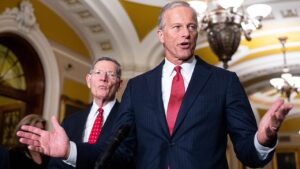 Thune-aligned groups unleash historic war chest to defend Senate majority: ‘Winning message’