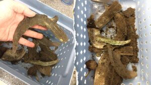Mysterious 3,000-year-old hoard with violently smashed sword emerges during construction project