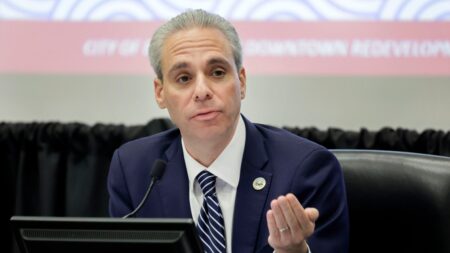 GOP’s Singer ‘very prepared’ to oust Dem Moskowitz in toss-up Florida race that could determine House majority