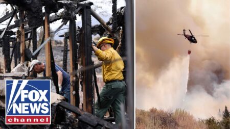 Hawk Fire near Reno forces thousands to EVACUATE as wildfire rages