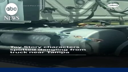 Toy Story characters spotted dangling from truck near Tampa