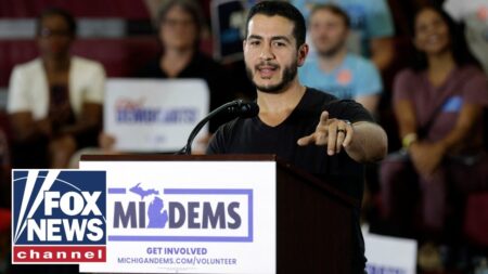 ‘LUNACY’: Dems URGED to distance from far-left influencer