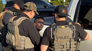 Trump election fraud crackdown lands first arrest, putting longtime critics in White House crosshairs Trump election fraud crackdown lands first arrest, putting longtime critics in White House crosshairs
