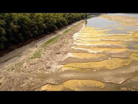 Drought exposes fossils and wartime shipwrecks along Danube River