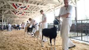 North Carolina warns mobile petting zoo visitors of rabies exposure after baby goats test positive